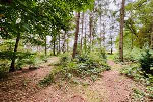 Doppeltes Wohnglück: zwei Häuser, ein Preis – Cuxhaven (Kreis) – Vorschaubild 39