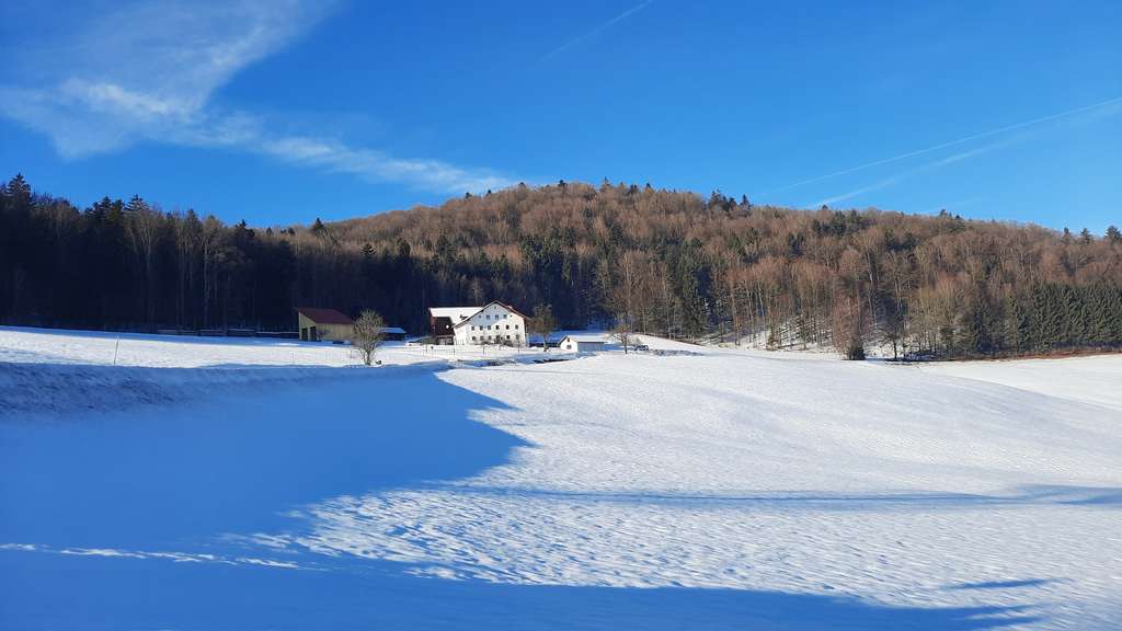 Immobilie in Waldkirchen - Waldkirchen - Traumbauernhof in absoluter Alleinlage mit Fernblick für € 790.000,-- - Bild 3