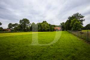 Resthof mit großzügigem Grundstück in Dunum – Wittmund (Kreis) – Vorschaubild 20