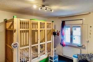 *** Familientraum: Ihr neues Zuhause erwartet Sie! 5Zi. + Garten * – Die vollständige Adresse der Immobilie erhältst du vom Anbieter., 41069 Holt, Mönchengladbach – Vorschaubild 12