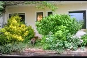 Attraktive 3ZKB in City-/Uninähe,  Gartenmitbenutzung,  – Die vollständige Adresse der Immobilie erhältst du vom Anbieter., 66123 St. Johann, Saarbrücken – Vorschaubild 10
