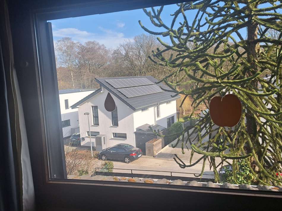 Blick aus dem Arbeitszimmer