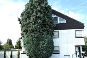 Wohnen & Arbeiten - helle Praxis mit stilvollem Zuhause – Die vollständige Adresse der Immobilie erhältst du vom Anbieter., 45768 Brassert, Marl – Vorschaubild 16