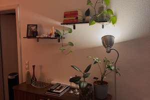 2-Zimmer-Wohnung in Leipzig Südvorstadt, Zwischenmiete ab Mitte Oktober mit anschließender Übernahme – Die vollständige Adresse der Immobilie erhältst du vom Anbieter., 4275 Südvorstadt, Leipzig – Vorschaubild 7
