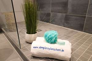 Fitness im Alltag, Entspannung zu Hause – schöne Wohnung mit großer Dusche – Johannes-Göderitz-Straße 68, 39130 Neu Olvenstedt, Magdeburg – Vorschaubild 2