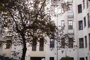 Niedliche 2-Raum-Wohnung in Stadtfeld-Ost sucht neuen Mieter! – Olvenstedter Str. 44, 39108 Stadtfeld Ost, Magdeburg – Vorschaubild 1