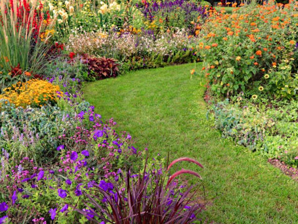 Genuss pur im eigenen Garten 1