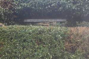 Garten Wohnung   zum Verkauf in  Altglienicke Terptow – Besenbinderstraße 18, 12524 Altglienicke, Berlin – Vorschaubild 5
