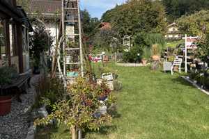 Einfamilienhaus mit Fengshui Anbau oben auf dem Samerberg – Rosenheim (Kreis) – Vorschaubild 4