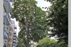 Große 2 Zimmer-Wohnung mit Balkon in zentraler Lage in MD-Stadtfeld – 39108 Stadtfeld Ost, Magdeburg – Vorschaubild 3
