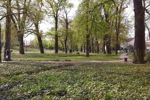 Property thumbnail 19