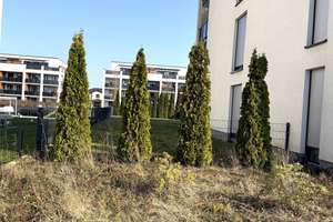 4 Zimmer EG ETW in Wolfsburg-Wendschott ohne Maklercourtage ! – Bernhardt-Kühnert-Straße 5, 38448 Wendschott, Wolfsburg – Vorschaubild 31