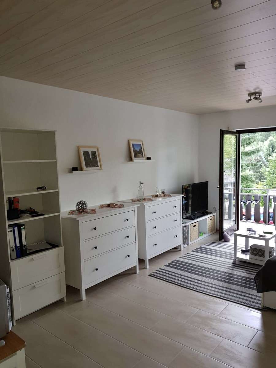 Immobilie in Winterberg - Elkeringhausen: Ferienwohnung mit Balkon, Stellplatz und Nähe zum Skigebiet Winterberg - Bild 3