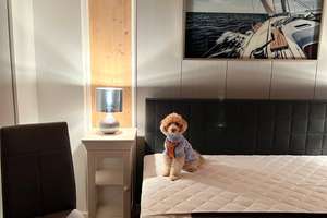 2 Zimmer Wohnung im Herzen von Stuttgart-West – Lerchenstraße 85, 70176 Rosenberg, Stuttgart – Vorschaubild 4