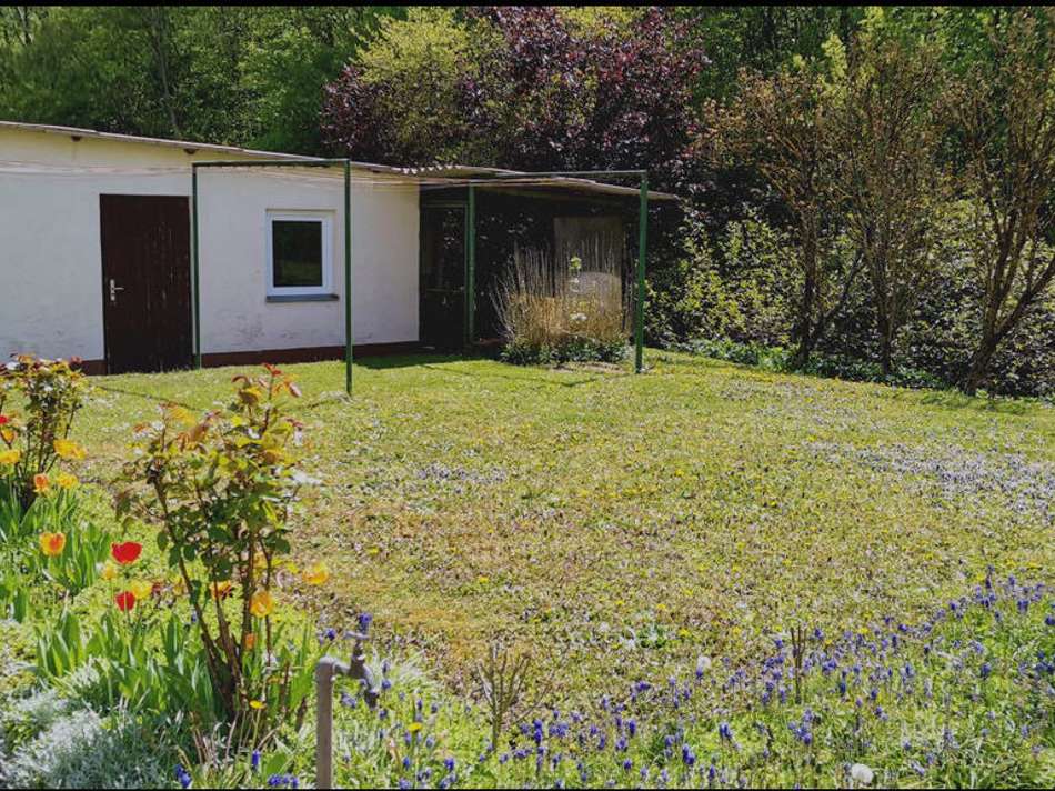 Gartenfläche