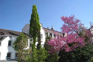 EHEMALIGE BANK, EHEMALIGES HOTEL... EIN HISTORISCHES GEBÄUDE... UMBAU ZU WOHNUNGEN LÄUFT... – Die vollständige Adresse der Immobilie erhältst du vom Anbieter., 67433 Kernstadt, Neustadt an der Weinstraße – Vorschaubild 12