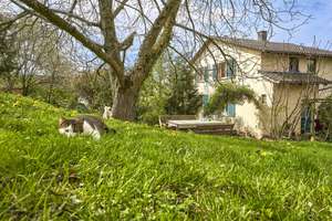 Großes Einfamilienhaus mit Garten, Garage und Nebengebäuden in 79312 Emmendingen-Windenreute – Die vollständige Adresse der Immobilie erhältst du vom Anbieter., 79312 Emmendingen – Vorschaubild 3