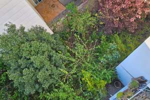 WOHNUNG AM SCHLOSS MIT EIGENEM GARTEN - SANIEREN & EINZIEHEN! – Die vollständige Adresse der Immobilie erhältst du vom Anbieter., 38102 Viewegsgarten-Bebelhof, Braunschweig – Vorschaubild 12
