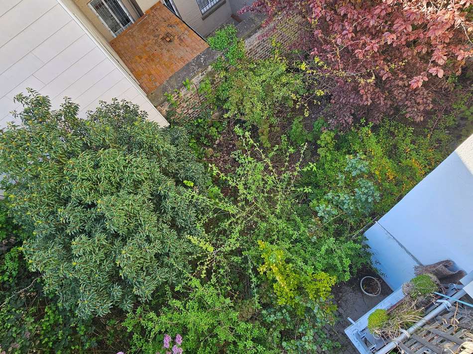 EIGENER GARTEN 3.jpg
