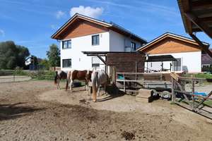 hochwertiger Neubau mit 2,5 WE *Pferdehaltung/Pferde* 1786 m² *provisionsfrei* – Die vollständige Adresse der Immobilie erhältst du vom Anbieter., 87754 Kammlach – Vorschaubild 18