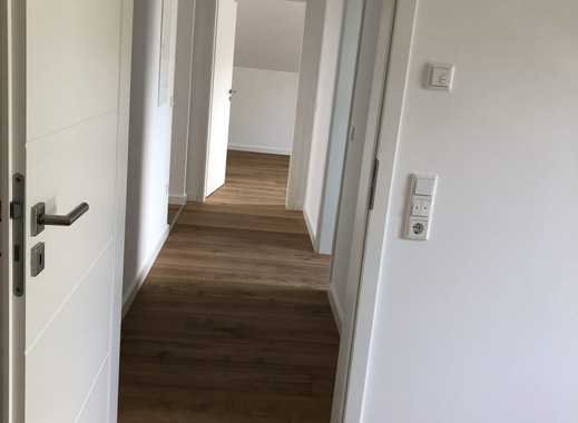 Single wohnung brilon
