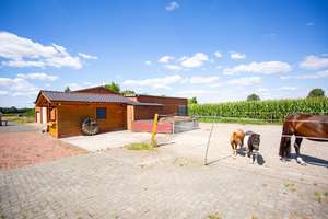 Charmanter Resthof mit Weitblick – Wohnen, Arbeiten & Leben im Grünen! – Am Tonschacht 28, 49152 Bad Essen – Vorschaubild 4