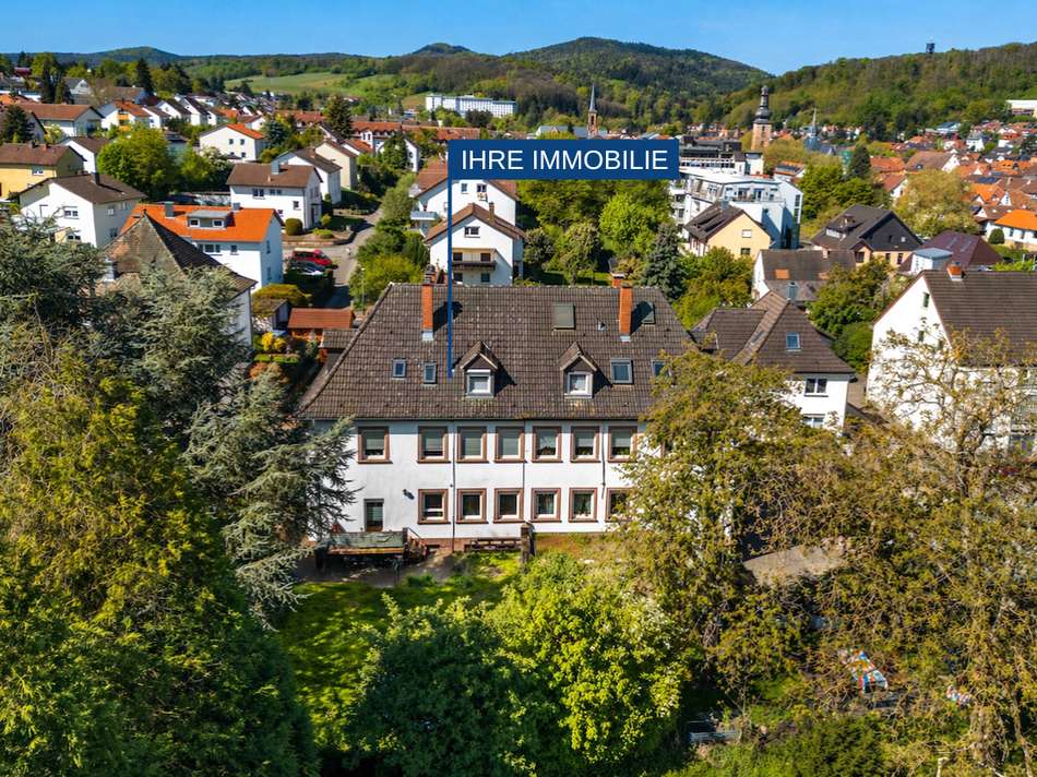 Drohne 1