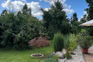 Barrierefreier Bungalow – 110 m², 1000 m² Grundstück, Wärmepumpe,Kaminofen und noch viel mehr – Barnim (Kreis) – Vorschaubild 14
