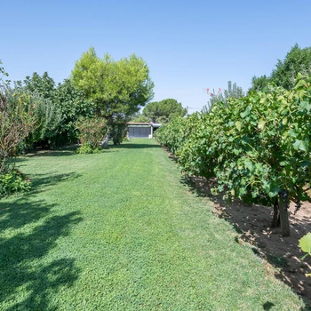 Immobilien zum Verkauf in Fuente El Saz de Jarama