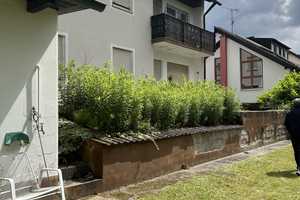 Zwei-Familien-Haus mit großem Garten und traumhafter Aussicht – Schulstr. 18, 90602 Neumarkt in der Oberpfalz (Kreis) – Vorschaubild 7