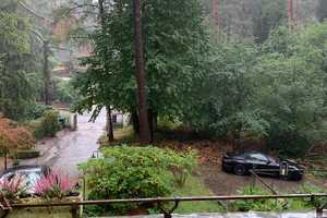 Property thumbnail 30