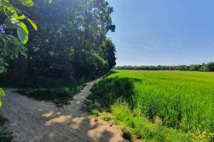 Property thumbnail 15