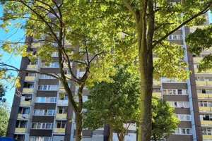 2-Zi-Wohnung, 50m², Loggia, frei ab 15.06.2026 – An der Fuhr 3, 50997 Meschenich, Köln – Vorschaubild 2