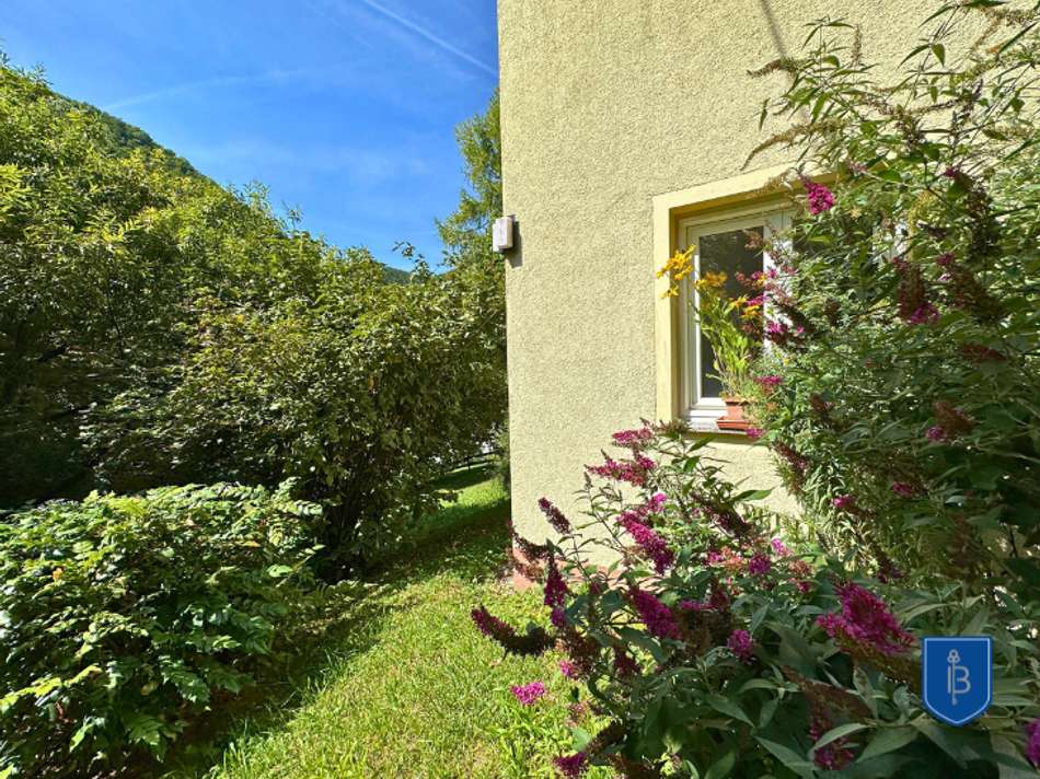 wunderschöne Natur ums Haus