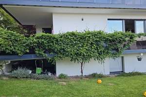 Moderne Maisonette-Wohnung mit großem Garten  – Mathildenweg 19, 64367 Mühltal – Vorschaubild 21