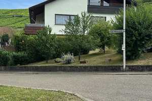 Beste Aussichten für die große Familie – Ludwigsburg (Kreis) – Vorschaubild 2