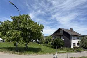 Natur pur - Großes EFH am Ortsrand - Nähe Trier und Luxemburg – Beim Weinskreuz 1, 54340 Leiwen – Vorschaubild 2