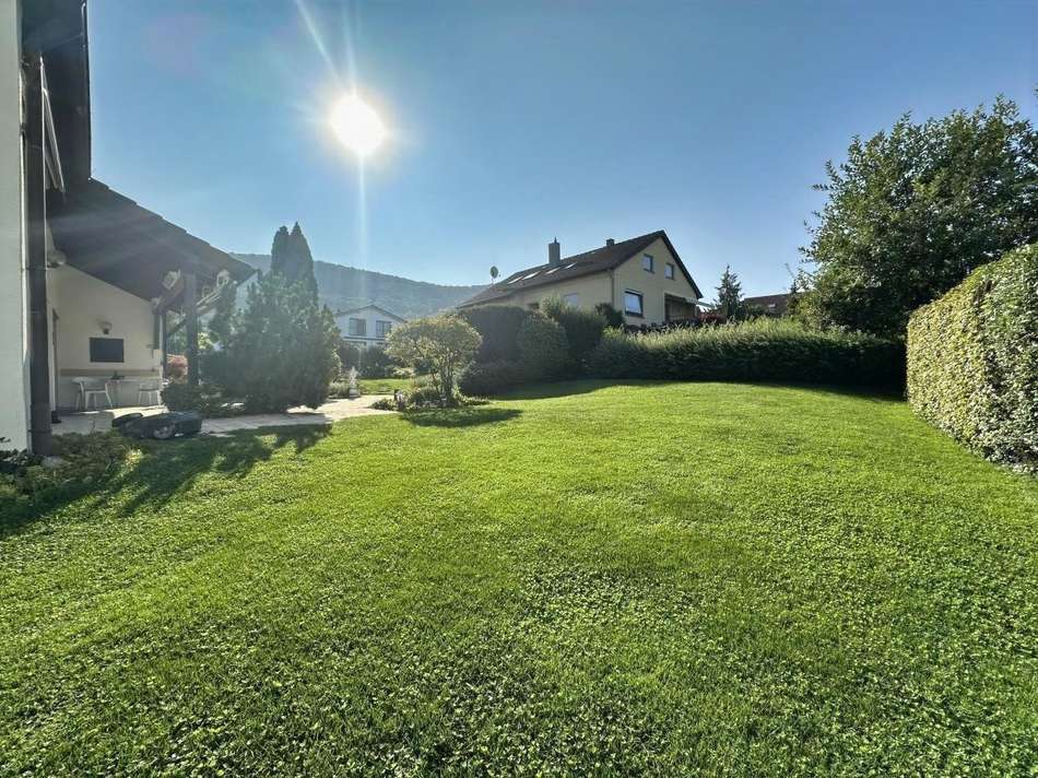 Sonniger, großer Garten