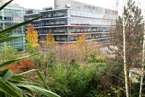 Property thumbnail 8