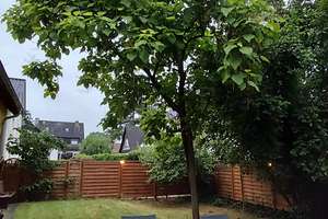 Freistehendes Haus, 200qm Wohnfläche plus Garten & Werk-/Hobbyräumen  – Helmkrautstraße 23a, 13503 Heiligensee, Berlin – Vorschaubild 5