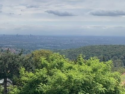Wohnung mieten in Königstein im Taunus - ImmoScout24