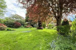 Gartenparadies mit großem Haus in Klecken – Harburg (Kreis) – Vorschaubild 30