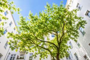 Zwischen Schönhauser Allee und Mauerpark – Ihr neues Zuhause mit Balkon & Berliner Zimmer im SF – Schivelbeiner Straße 47, 10439 Prenzlauer Berg, Berlin – Vorschaubild 5