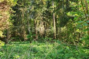 Landliebe pur! Idyllische Alleinlage im Wald. – Die vollständige Adresse der Immobilie erhältst du vom Anbieter., 44797 Stiepel, Bochum – Vorschaubild 19