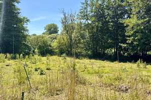 HORN IMMOBILIEN ++ idyllisches Zweifamilienhaus in Wrodow bei Neubrandenburg – Demmin (Kreis) – Vorschaubild 12