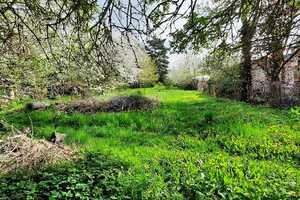 Sanierungsbedürftige Doppelhaushälfte mit Potenzial und großen Garten – Gartenstraße 9, 99869 Gotha (Kreis) – Vorschaubild 4