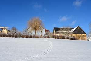 Modernisiertes Mehrfamilienhaus mit Nebengebäuden in idyllischer Lage mit 4,3 h großem Anwesen – Hetzendorf 3, 91282 Betzenstein – Vorschaubild 1