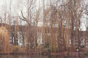 Property thumbnail 17