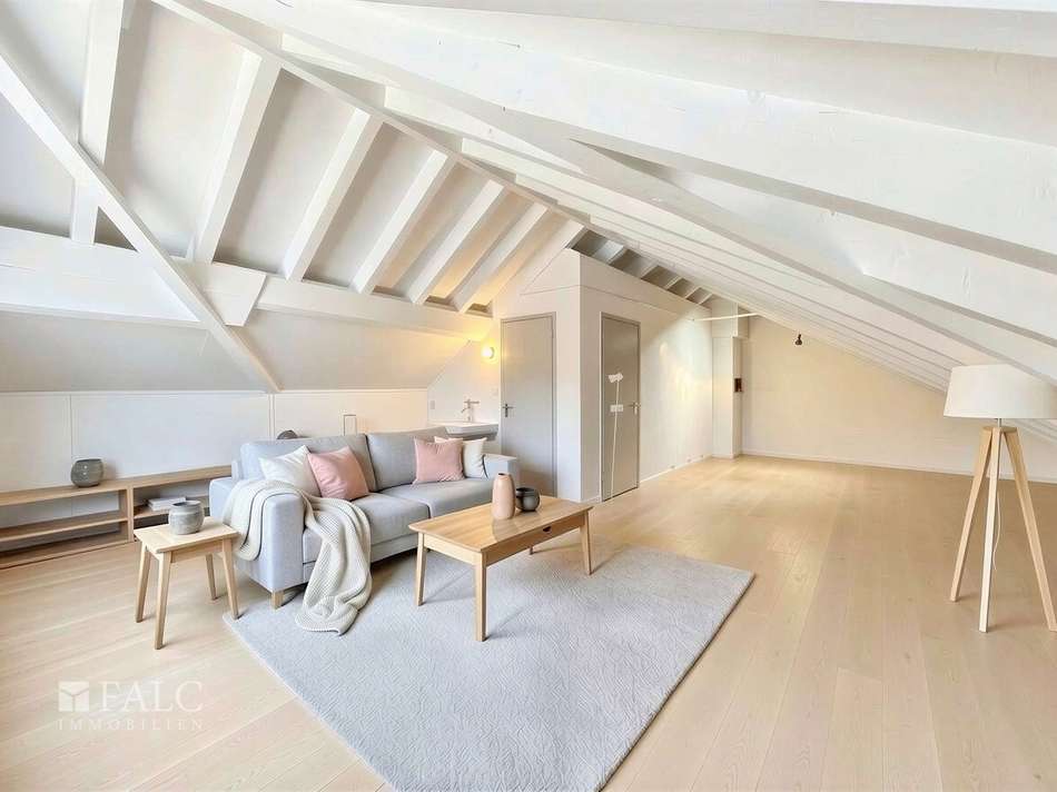 Dachboden mit großer Ausbaures