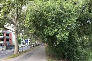 3-Zimmer-WHG_ab 55J_"Betreutes Wohnen" mit gr. Balkon zum Neckar – Bad Strasse 46, 74072 Heilbronn, Heilbronn – Vorschaubild 11